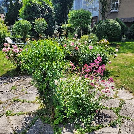 Apartament Les Colibris - Standing Et Jardin - 3 Etoiles Cluses Zewnętrze zdjęcie