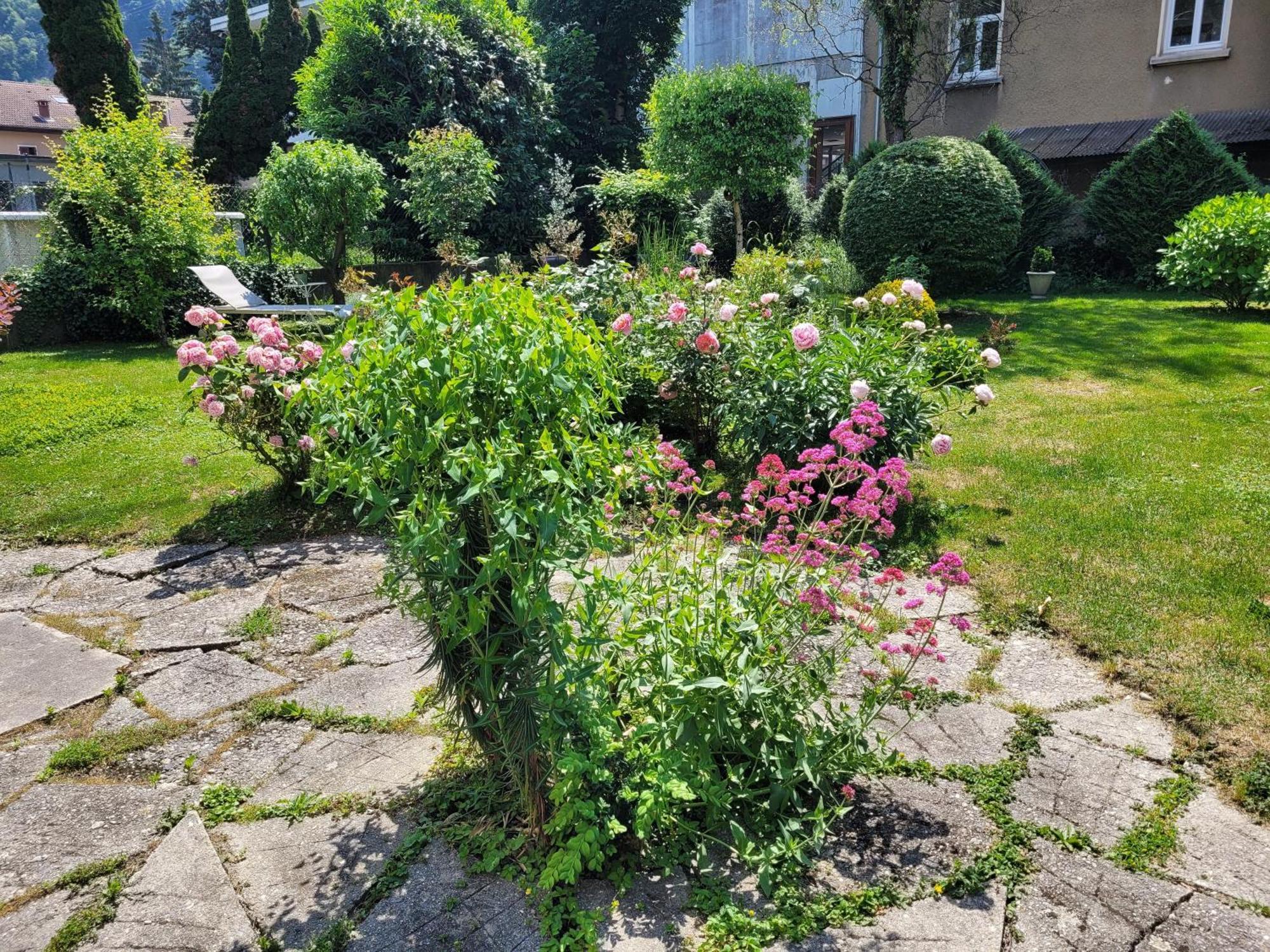 Apartament Les Colibris - Standing Et Jardin - 3 Etoiles Cluses Zewnętrze zdjęcie